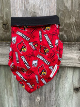 Extra Large dogfandana- all dogfandanas are reversible with team pattern and coordinating solid color fabric